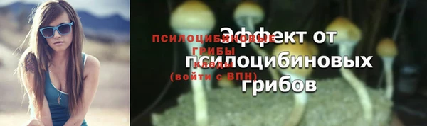 амф Абинск