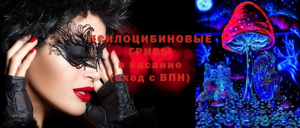 прущие грибы Алексеевка
